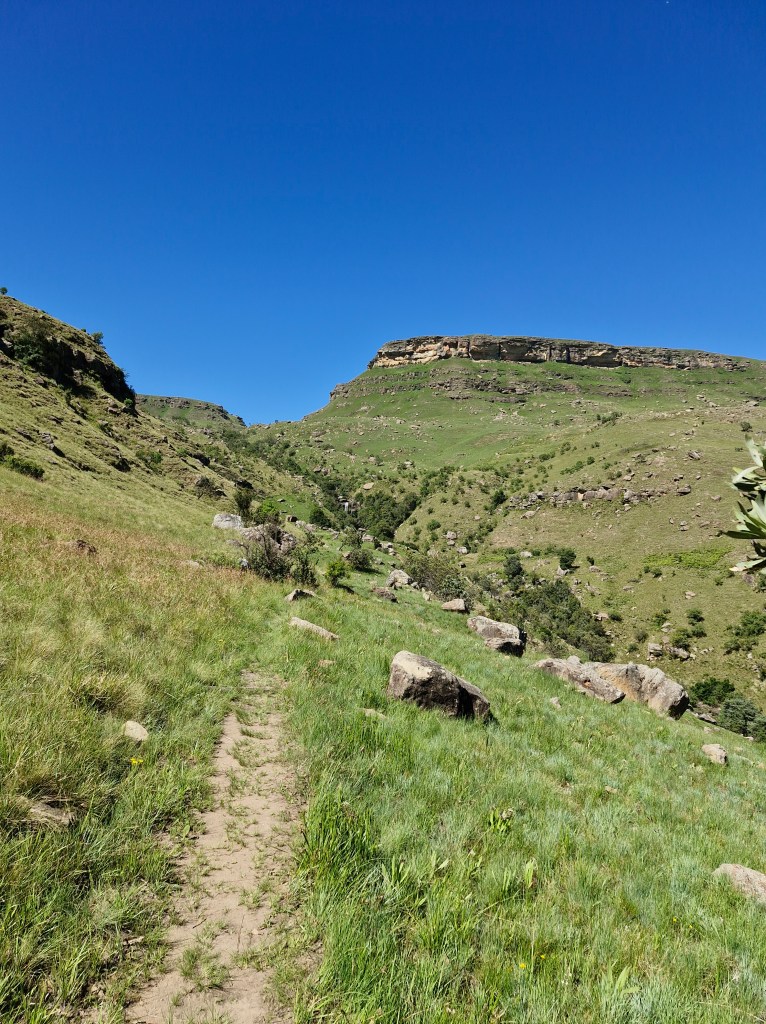 The trail to Game Pass Shelter. James Seymour