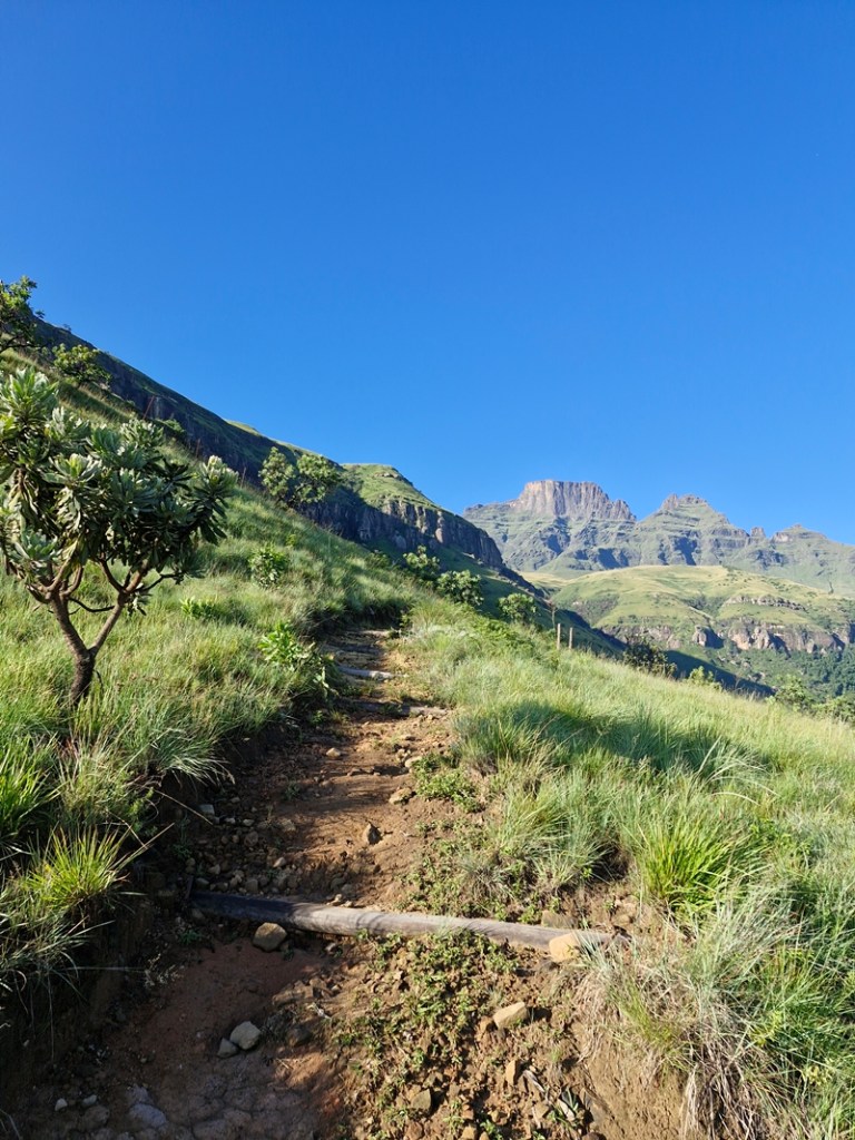 Keartlands Pass. James Seymour