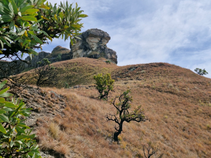 Baboon Rock, Cathedral Peak Area, Drakensberg