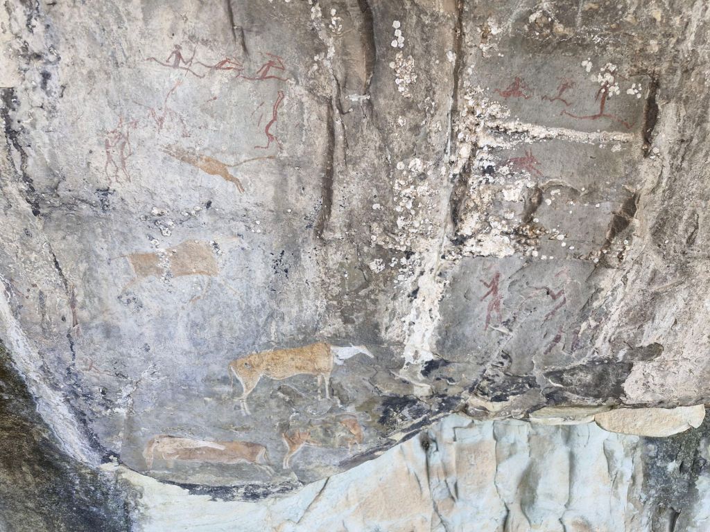 Main Panel, Lower Mushroom Shelter