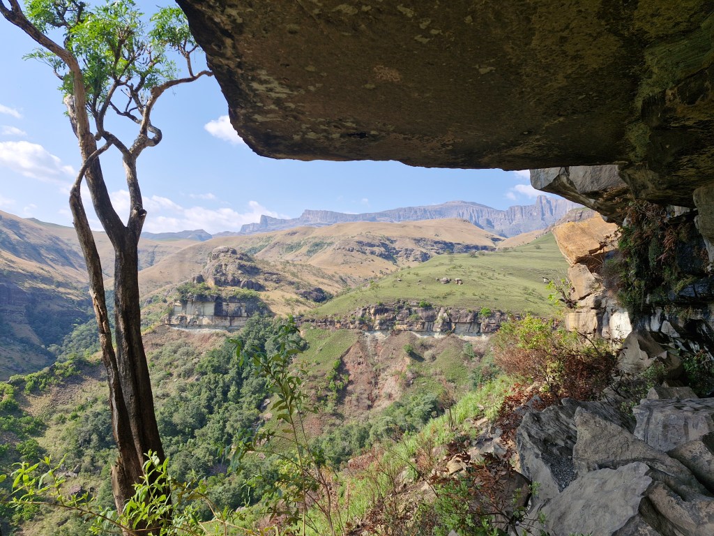 Lower Mushroom Shelter
